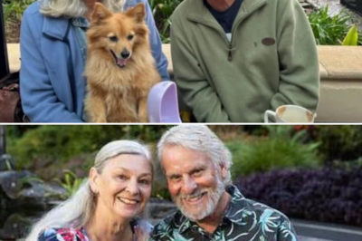 Update on the health status of the elderly couple after being st@:bbed in a home invasion by a stranger in rural NSW