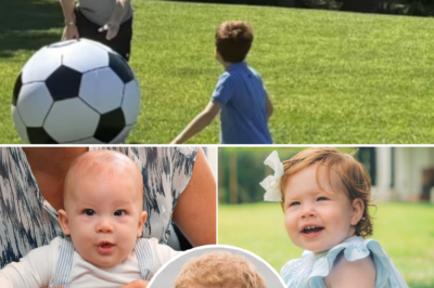 After Meghan, Prince Harry Faces Backlash Over Strange Detail on His Shirt in Photo With Archie