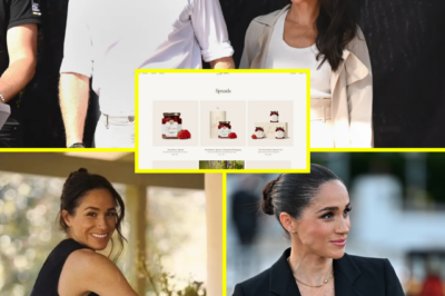 Insiders close to Meghan Markle have pushed back after traffic figures for her lifestyle brand As Ever sparked fresh scrutiny