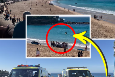 “SHARK ATTACK HORROR” BEACH CHAOS — Woman left fighting for life after Coogee Beach incident
