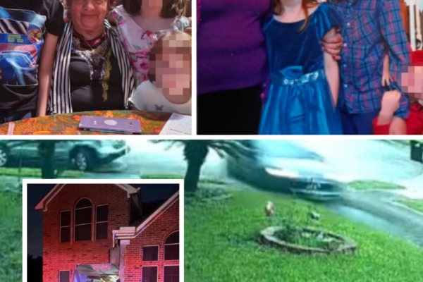 A 76-year-old grandmother has d!ed after a Tesla crashed into a home i...