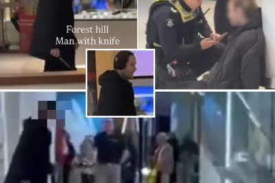 Panic at Melbourne Mall as Kni-fe-Wielding Man Sparks Major Police Response