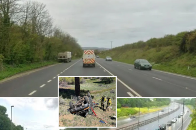 A devastating crash has ki-l-led a 5-year-old boy and an 8-year-old boy who were travelling in the same vehicle, leaving three others injured and a man arrested at the scene