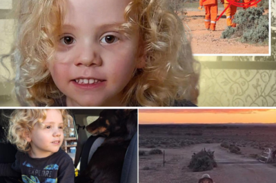 “FRAGILE HOPE…” Police Reveal Sh0cking New Clue in the Mysterious Disappearance of Gus Lamont