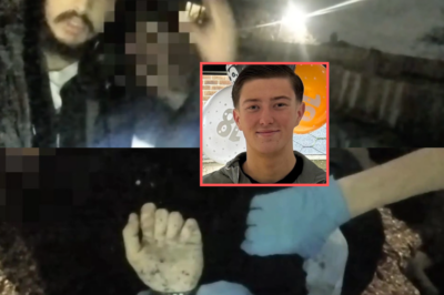 DE-A-DLY STABBING CASE UNDER FIRE: One Critical Moment Now Raising Serious Questions About Police Response in Henry Nowak Investigation