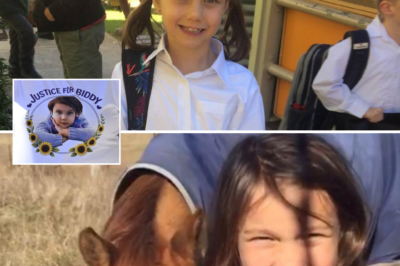 Biddy Porter Inquest Sparks Debate as Family Allegedly Blames Video Games for Teen K-i-ller’s Violent Behaviour in Rural New South Wales