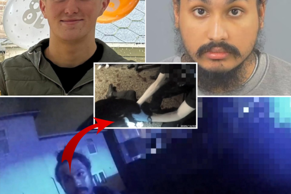 Sh0cking New Video Exposes Vickrum Digwa’s Lies That Left Britis...