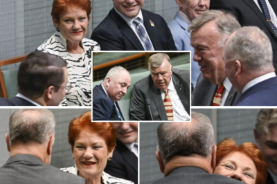 Historic Turning Point For One Nation As David Farley Is Sworn In — Pauline Hanson’s Message Sh0cks Many