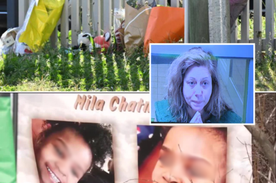 Chi-ll-ing New Details Emerge As Mum Accused Of Mu-r-dering Young Children Is Linked To Online Searches