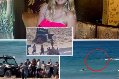 🚨 Shark Attack Survivor Leah Stewart Returns to Surgery as Family Shares Emotional Update on Her Fight for Recovery