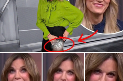 “I Am So Sorry!”: Kylie Gillies’ Awkward Live TV Gaffe Goes Viral Within Minutes, Leaving Viewers Cringing and Talking Online Non-Stop