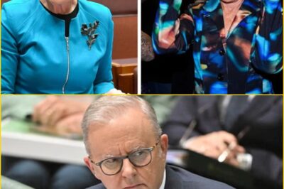 AUSTRALIA STUNNED BY EXPLOSIVE NEW POLL: ONE NATION SURGES PAST LABOR AS PAULINE HANSON’S MYSTERIOUS FIVE-WORD MESSAGE SENDS CANBERRA INTO MELTDOWN