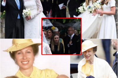 FANS ARE SH0CKED… — Princess Anne arrives at her son’s wedding, BUT one figure has shifted all attention…