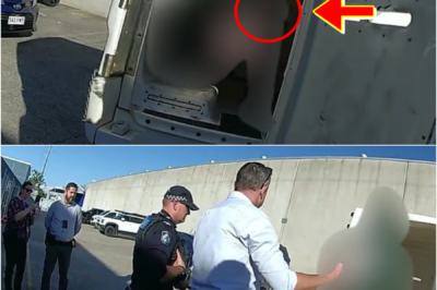 🚨 THEY THOUGHT THEY COULD GET AWAY… BUT THE ARREST MOMENT LEFT INVESTIGATORS SH0CKED…