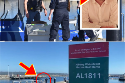 🚨 INCREDIBLE — TEEN’S HEROIC ACT TO SAVE SHARK ATT-ACK VI-CTIM REVEALED IN SH0CKING NEW DETAILS