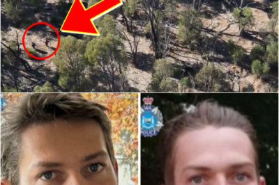🚨 MYSTERY DEEPENS — HIKER VANISHES ON THE FAMOUS BIBBULMUN TRACK, ONE DETAIL AFTER FOUR MONTHS STILL…