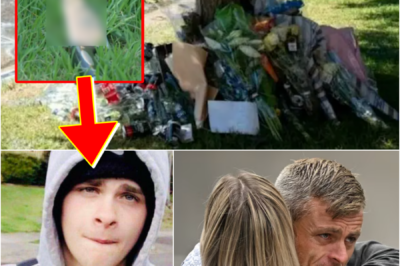 🚨 HEARTBREAKING – Declan Cutler was set up0n by a group of 8 African ga-ng members