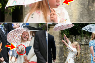 SO CUTE — ROYAL FAMILY HAS “A NEW PRINCE LOUIS” AFTER WEDDING MOMENT GOES VIRAL — A DETAIL THAT HAS CHARMED ROYAL FANS…
