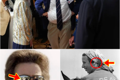 THROWBACK OLYMPIC 1976 PHOTO OF PRINCESS ANNE RESURFACES — ONE DETAIL IN THE FRAME IS STILL SPARKING ROYAL DISCUSSION…