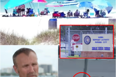 🚨 NIGHTMARE CAUGHT ON VIDEO — NAVAL BASE EMPLOYEE SAVAGED BY SHARK WHILE SNORKELING JUST OFF SHORE, FOOTAGE LEAVES VIEWERS STUNNED…