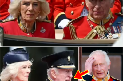 5-WORD B0MBSHELL — KING CHARLES’ REPORTED REMARK TO QUEEN CAMILLA AT TROOPING THE COLOUR SPARKS MAJOR REACTION