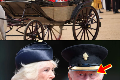 🚨 HE STOPPED EVERYTHING FOR HER… — KING CHARLES PAUSES DUTIES DURING TROOPING THE COLOUR, A MOMENT WITH QUEEN CAMILLA NOW MELTING HEARTS