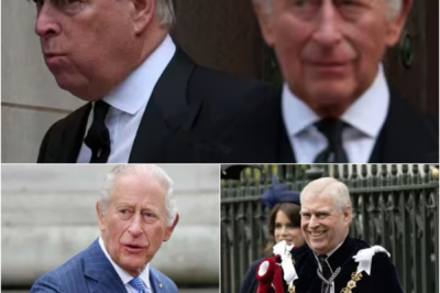 🚨 FINAL ROYAL SNUB? — One Decision Linked to King Charles and Andrew Mountbatten-Windsor Is Suddenly Drawing Fresh Attention