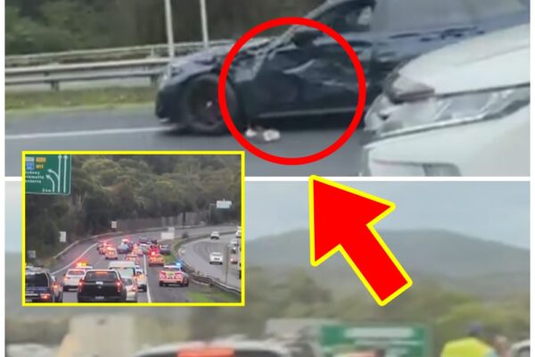 HIGH-SPEED HAVOC: Teen Suspects Nabbed After Dramatic Pursuit Sparks R...