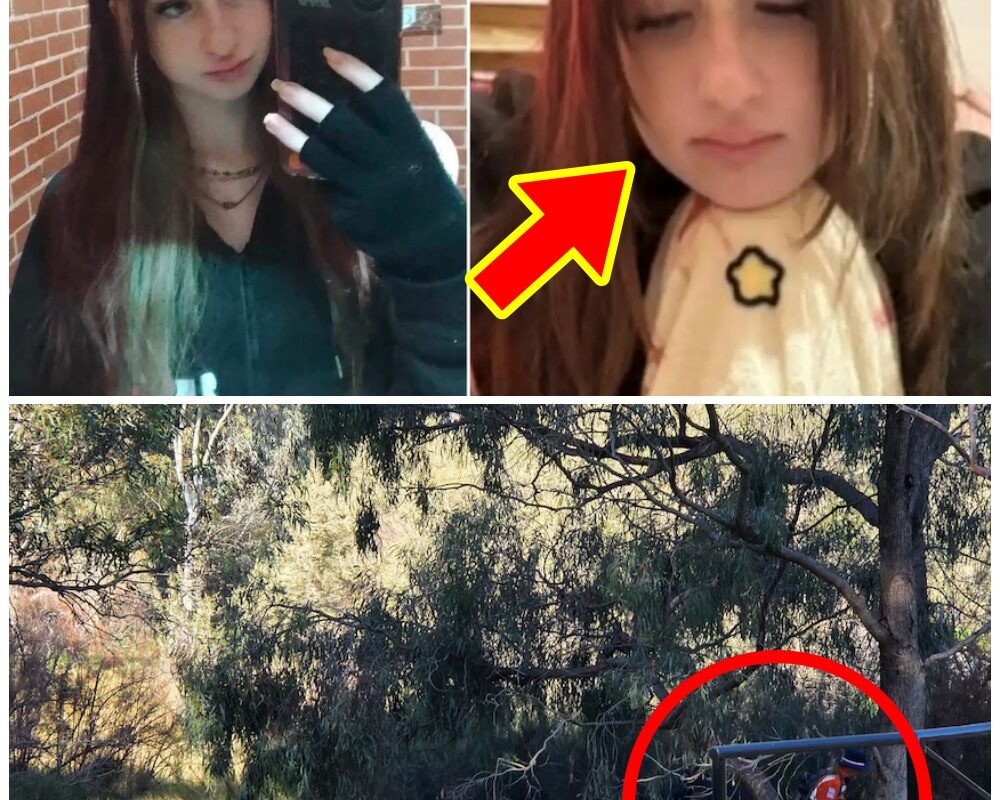 Mystery Deepens After Hu-man Remains Found in Search for Missing 13-Year-Old—Police Fear Something Sinister