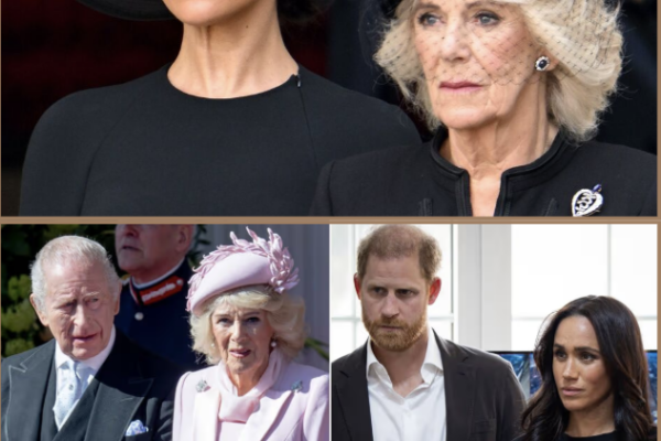 JUST IN: QUEEN CAMILLA’S REPORTED DEMAND TO HARRY AND MEGHAN ADD...