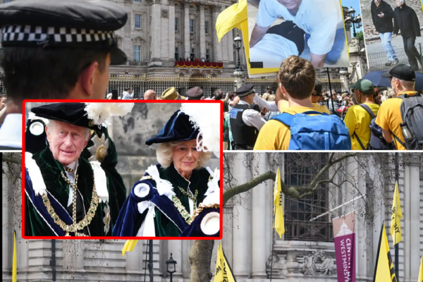 Scandal continues: Protests target former Prince Andrew following his ...