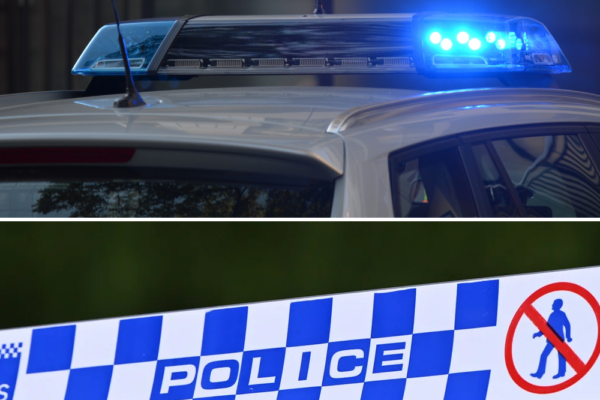 Security alert in Pascoe Vale: Manhunt for pit bull after att@:ck leav...