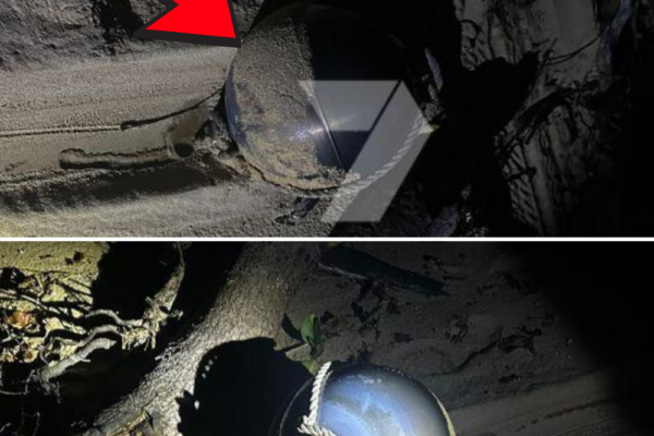 Safety warning at Queensland beach: What’s inside the mysterious metal...