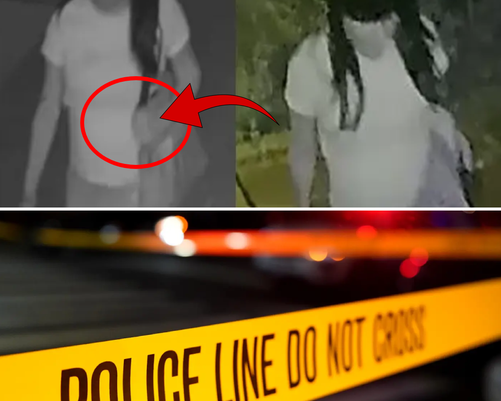 Long hair, carrying a purse, and a brazen att@:ck: Unmasking the teen s3:xual assailant that has Queens in an uproar!