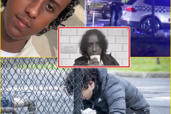 FINAL TWIST IN MELBOURNE TEEN MUR-DER: THIRD SUSPECT CHARGED AFTER DAR...