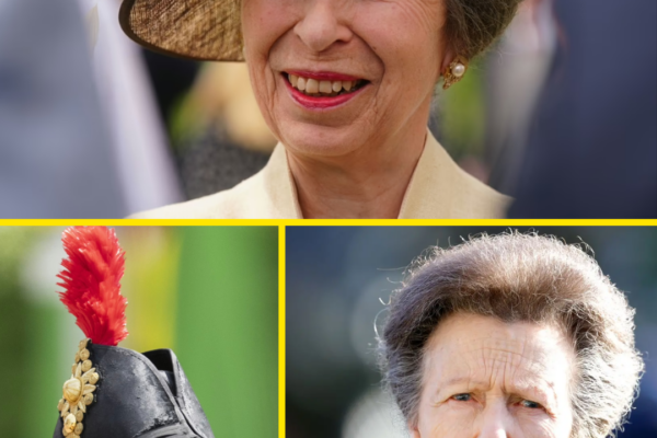 PRINCESS ANNE’S RETIREMENT PLAN ‘REVEALED’ — AND ONE ROYAL INSIDER CLA...